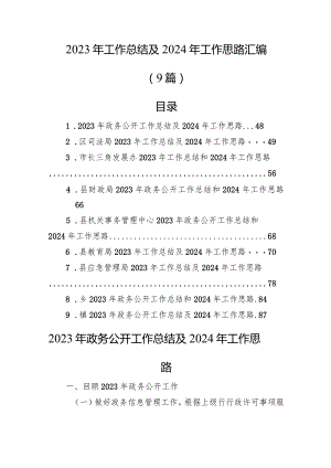 2023年工作总结及2024年工作思路汇编（9篇）.docx