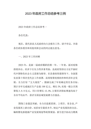 2023年政府工作总结参考三例.docx
