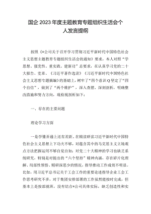 国企2023年度主题教育专题组织生活会个人发言提纲.docx
