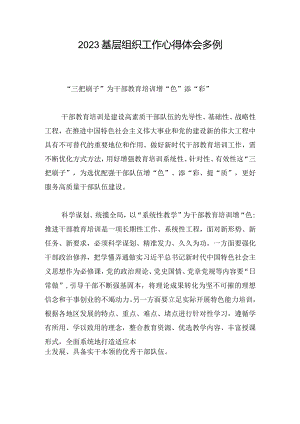 2023基层组织工作心得体会多例.docx