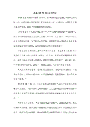 改革开放45周年心得体会 6.docx
