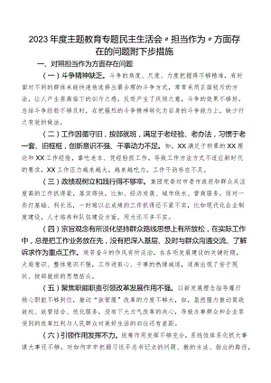 2023年度集中教育专题民主生活会“担当作为”方面存在的问题附下步措施.docx
