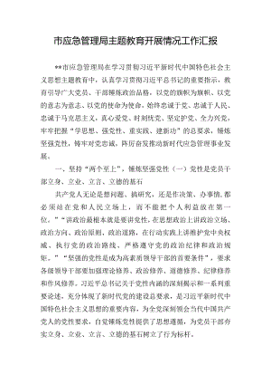 市应急管理局主题教育开展情况工作汇报.docx