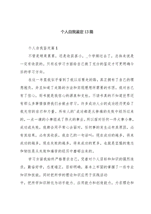 个人自我鉴定13篇.docx