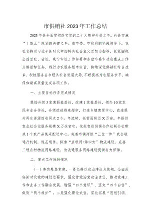 市供销社2023年工作总结.docx