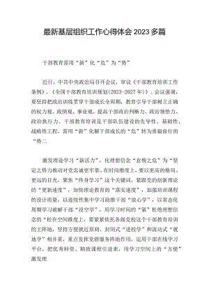 最新基层组织工作心得体会2023多篇.docx