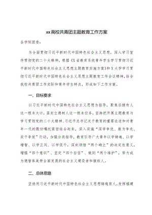 XX高校共青团主题教育工作方案.docx