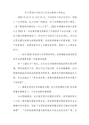 三甲医院医生《学习贯彻中央经济》工作会议精神（3份）.docx