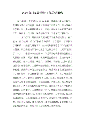 2023年挂职副县长工作总结报告.docx