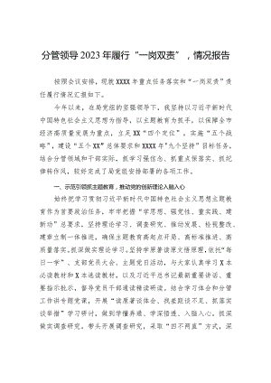 分管领导2023年履行“一岗双责”情况报告.docx
