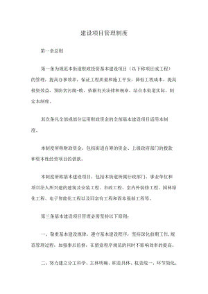 建设项目管理制度.docx