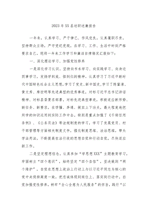 2023年XX县述职述廉报告.docx