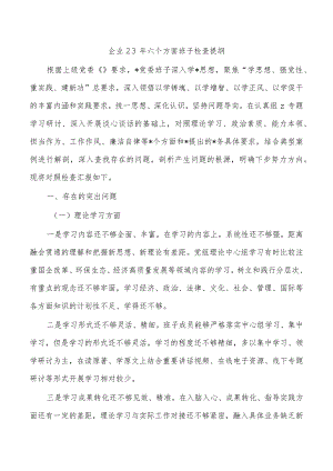 企业23年六个方面班子检查提纲.docx