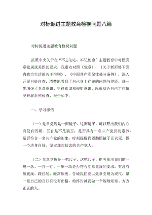 对标促进主题教育检视问题八篇.docx
