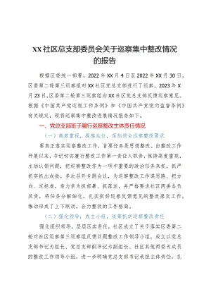 XX社区总支部委员会关于巡察集中整改情况的报告.docx