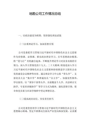 地勘公司工作情况总结.docx