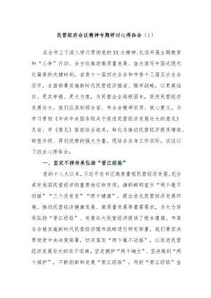 民营经济会议精神专题研讨心得体会范文.docx