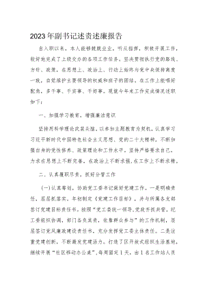 2023年副书记述责述廉报告.docx