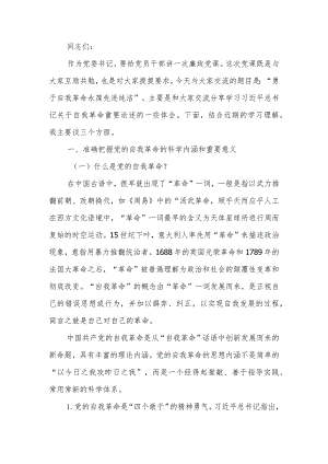 勇于自我革命永葆先进纯洁党委书记讲廉政课讲稿.docx