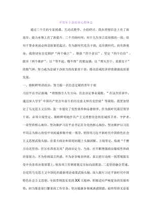 中青年干部培训心得体会.docx