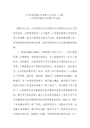 公司党委2023年党建工作总结(二篇).docx