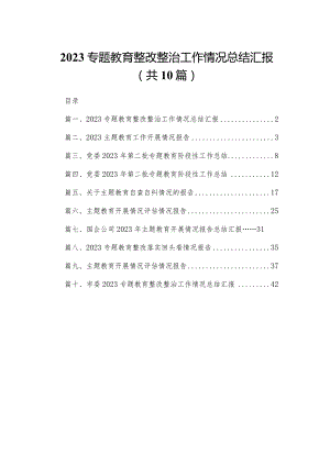 专题教育整改整治工作情况总结汇报10篇供参考.docx