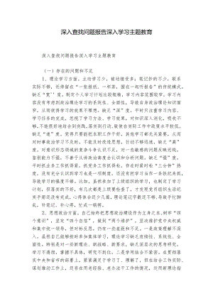深入查找问题报告深入学习主题教育.docx