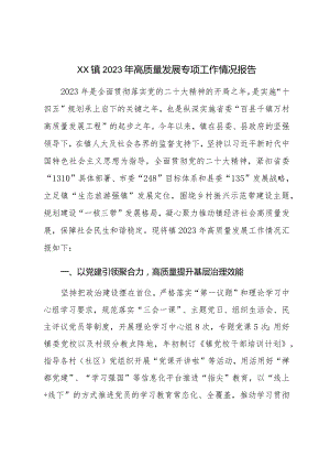 XX镇2023年高质量发展专项工作情况报告.docx