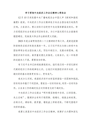 环境监察大队党员干部《学习贯彻中央经济》工作会议精神心得体会（合计3份）.docx