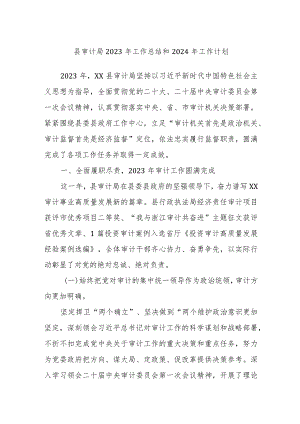 县审计局2023年工作总结和2024年工作计划.docx