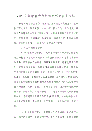 2023关于主题教育专题组织生活会发言提纲.docx