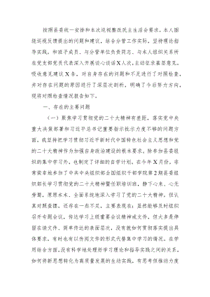 巡视整改专题民主生活个人检查材料发言提纲.docx