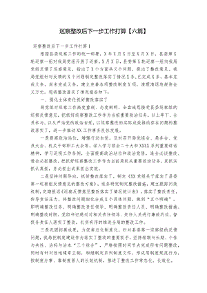 巡察整改后下一步工作打算【六篇】.docx