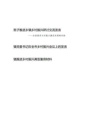 乡镇党委班子推进乡镇乡村振兴研讨交流发言和典型案例材料.docx