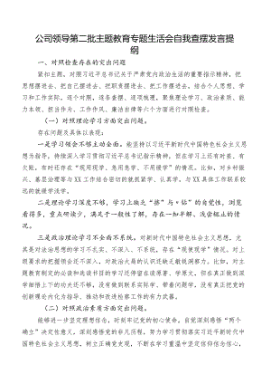 公司领导第二批集中教育专题生活会自我查摆发言提纲.docx