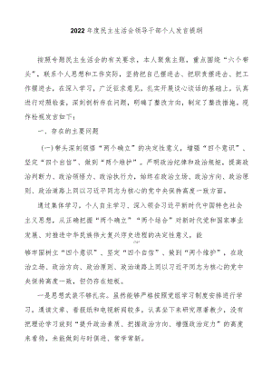 2022年度民主生活会领导干部个人发言提纲.docx