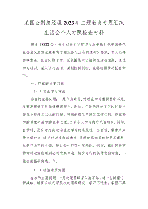 某国企副总经理2023年主题教育专题组织生活会个人对照检查材料.docx