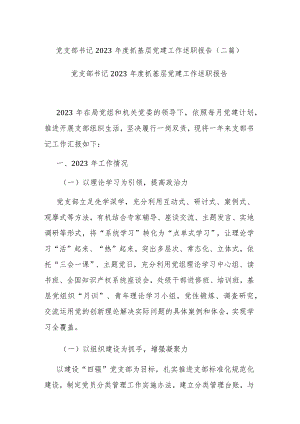 党支部书记2023年度抓基层党建工作述职报告(二篇).docx