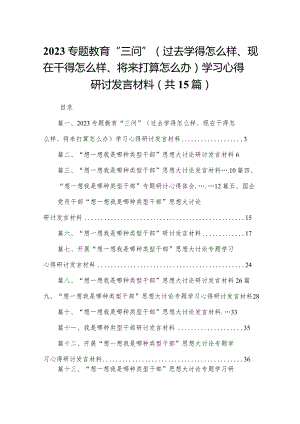专题教育“三问”（过去学得怎么样、现在干得怎么样、将来打算怎么办）学习心得研讨发言材料(精选15篇).docx