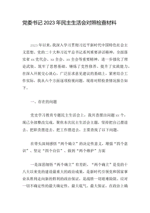 党委书记2023年民主生活会对照检查材料.docx