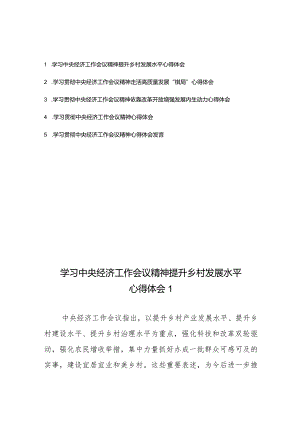 学习贯彻中央经济工作会议精神心得体会发言5篇.docx