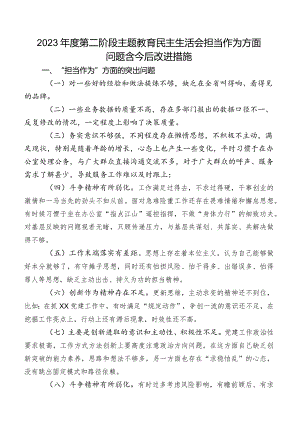 2023年度第二阶段学习教育民主生活会担当作为方面问题含今后改进措施.docx