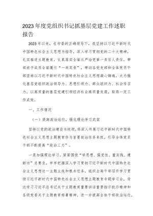 2023年度党组织书记抓基层党建工作述职报告.docx