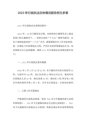 2023年行政执法总体情况报告例文多章.docx