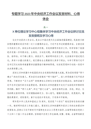 专题学习2023年中央经济工作会议发言材料、心得体会.docx