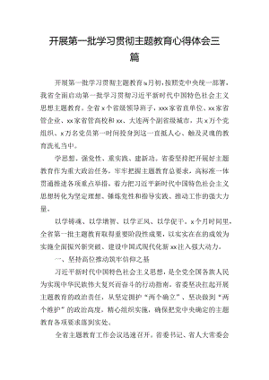 开展第一批学习贯彻主题教育心得体会三篇.docx