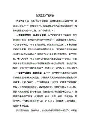 从事纪检工作感悟.docx