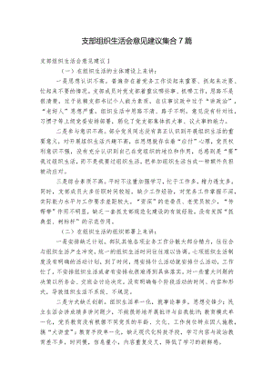 支部组织生活会意见建议集合7篇.docx