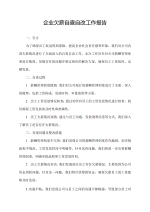 企业欠薪自查自改工作报告.docx