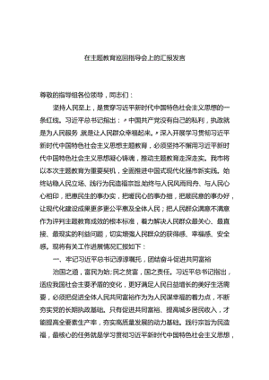 在主题教育巡回指导会上的汇报发言.docx